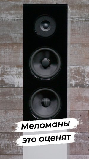 Audio Physic Classic 15 - исключительно меломанские колонки с комфортным и выразительным звучанием.