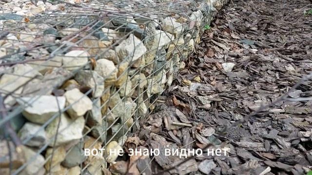 🚧 Габионы своими руками через 5 лет: минусы и плюсы подпорной стенки из сетки