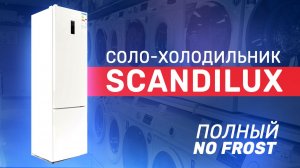 Обзор холодильника SCANDILUX CTF196E01W