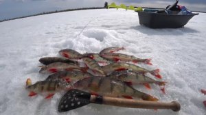 ТАКИХ АРБУЗИКОВ Я ЕЩЁ НЕ ЛОВИЛ!!! Закрытие сезона твёрдой воды прошла удачно!!!