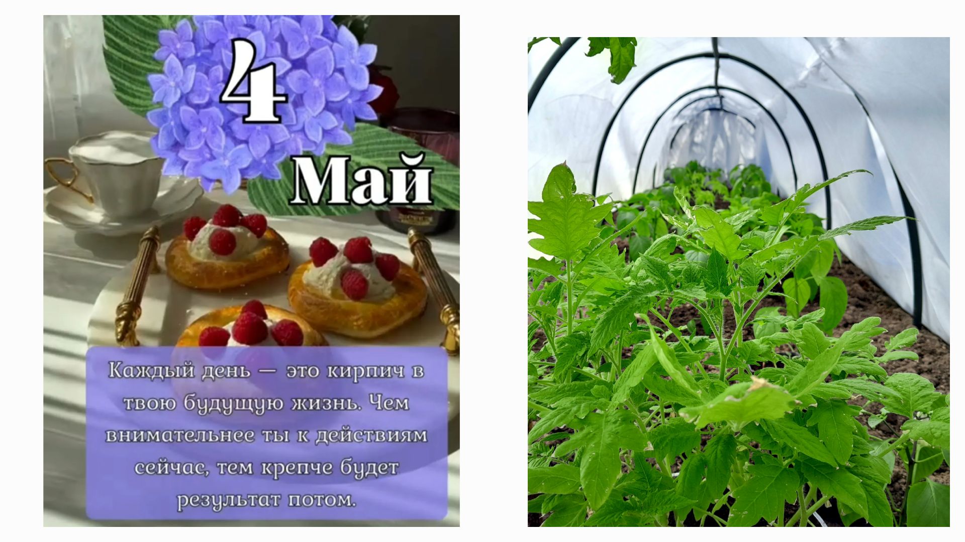 ВТОРОЙ ДЕНЬ В ОГОРОДЕ🌱🌱🌱