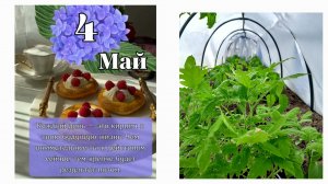 ВТОРОЙ ДЕНЬ В ОГОРОДЕ🌱🌱🌱