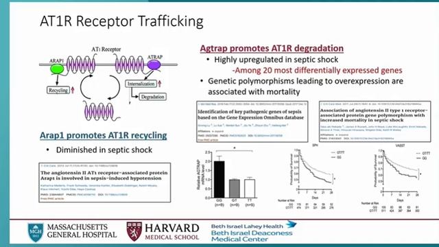 IMMUNOMODULATION ISICEM 45