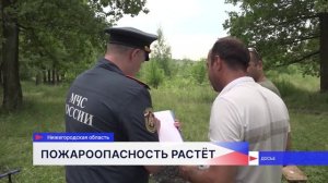 Разведение костров запретили в связи с пожарной опасностью в Нижегородской области
