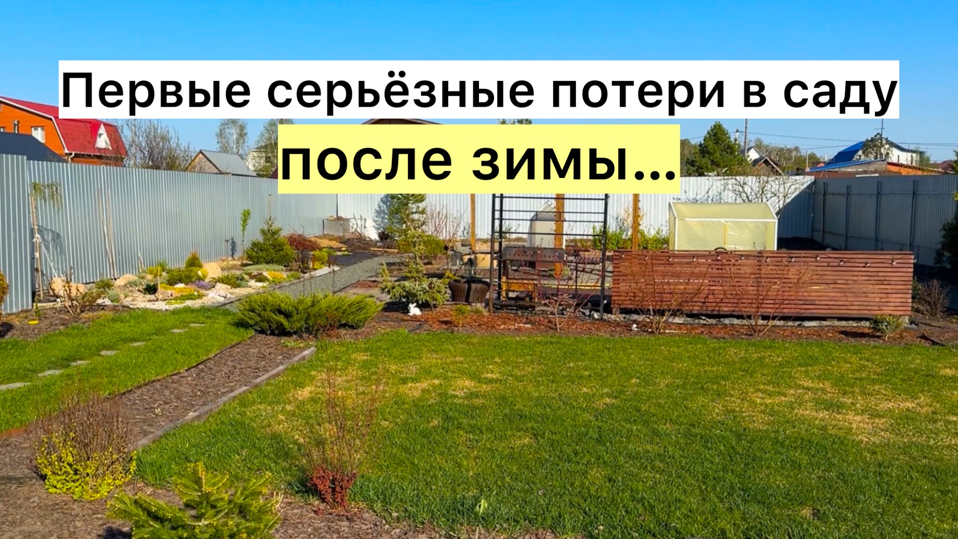 Обидно, но не расстраиваемся, вырастим ещё лучше!
