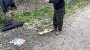 04.05.26 г. РК Волна.
