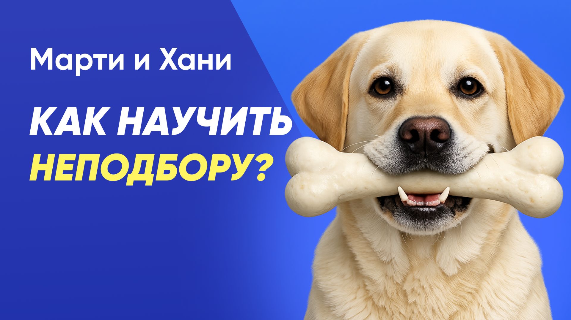 СОБАКА ПОДБИРАЕТ НА УЛИЦЕ / КАК НАУЧИТЬ НЕПОДБОРУ / ПОЧЕМУ ТВОЯ СОБАКА ПЫЛЕСОСИТ ВСЁ ПОДРЯД