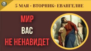 «Вас мир не может ненавидеть» Почему христианин всегда остается «чужим» I 5 мая (5 минут)