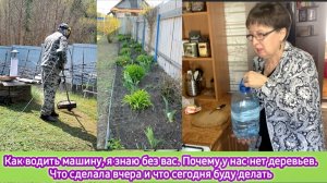 Как водить машину, я знаю без вас! Почему у нас нет деревьев. Что сделала вчера и что сегодня