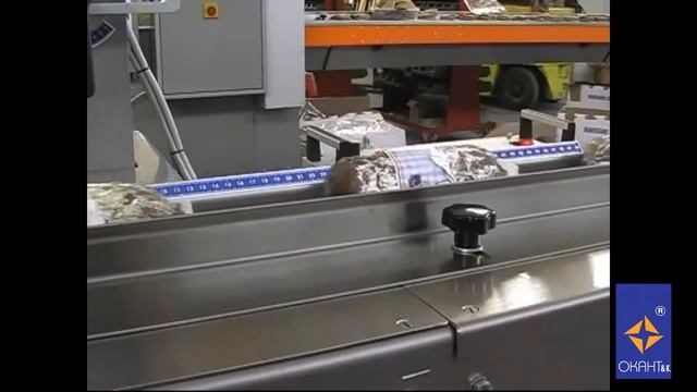 Упаковочная машина CARINA 450 (500)