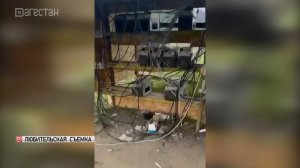 В Унцукульском районе пресекли работу подпольной майнинг-фермы