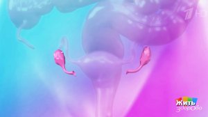 Яичники: когда удаление - единственный шанс на спасение. Жить здорово! Фрагмент выпуска от 04.05....
