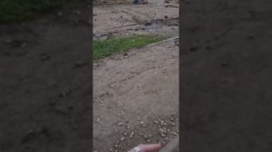 Провал на коллекторе