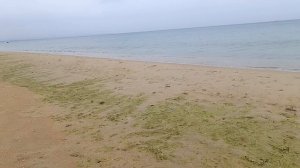 04-05-2026 Анапа пляж Витязево-1