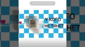 впр