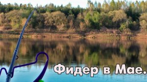 Рыбалка на фидер в мае.Западная Двина.Рыбалка в Витебской области.
