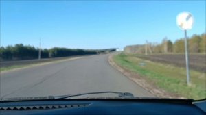 4.05.26. Очень переживаю за Мартышку. Хотим сморчков. Красота в весеннем лесу.