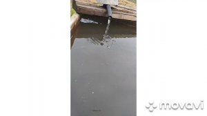 Небольшой ремонт шарового крвна.
