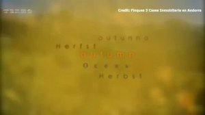 Крошечный рай на Земле, где нет ни тюрем, ни армии, ни своих денег