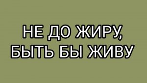 Страдания ДОМОСЕРА