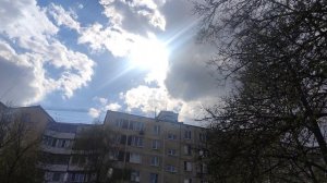 4 мая Белая черемуха....