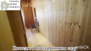 Пансионат Сосновая Роща, Пицунда, Абхазия. Обзор Номерного фонда