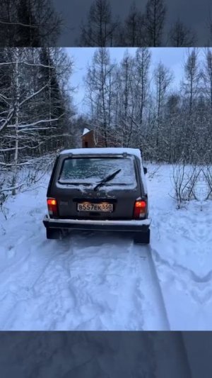 Нивасик✌️
