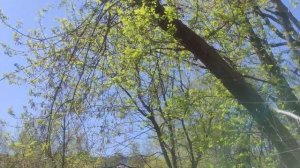 3 мая магический ☀️ подарок прогноз погоды от волшебника