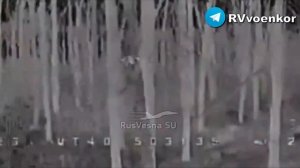 ‼️🇷🇺🇺🇦 Кипят бои за Покровском, Мирноградом и в Днепропетровской области 

▪️Бойцы группировки в