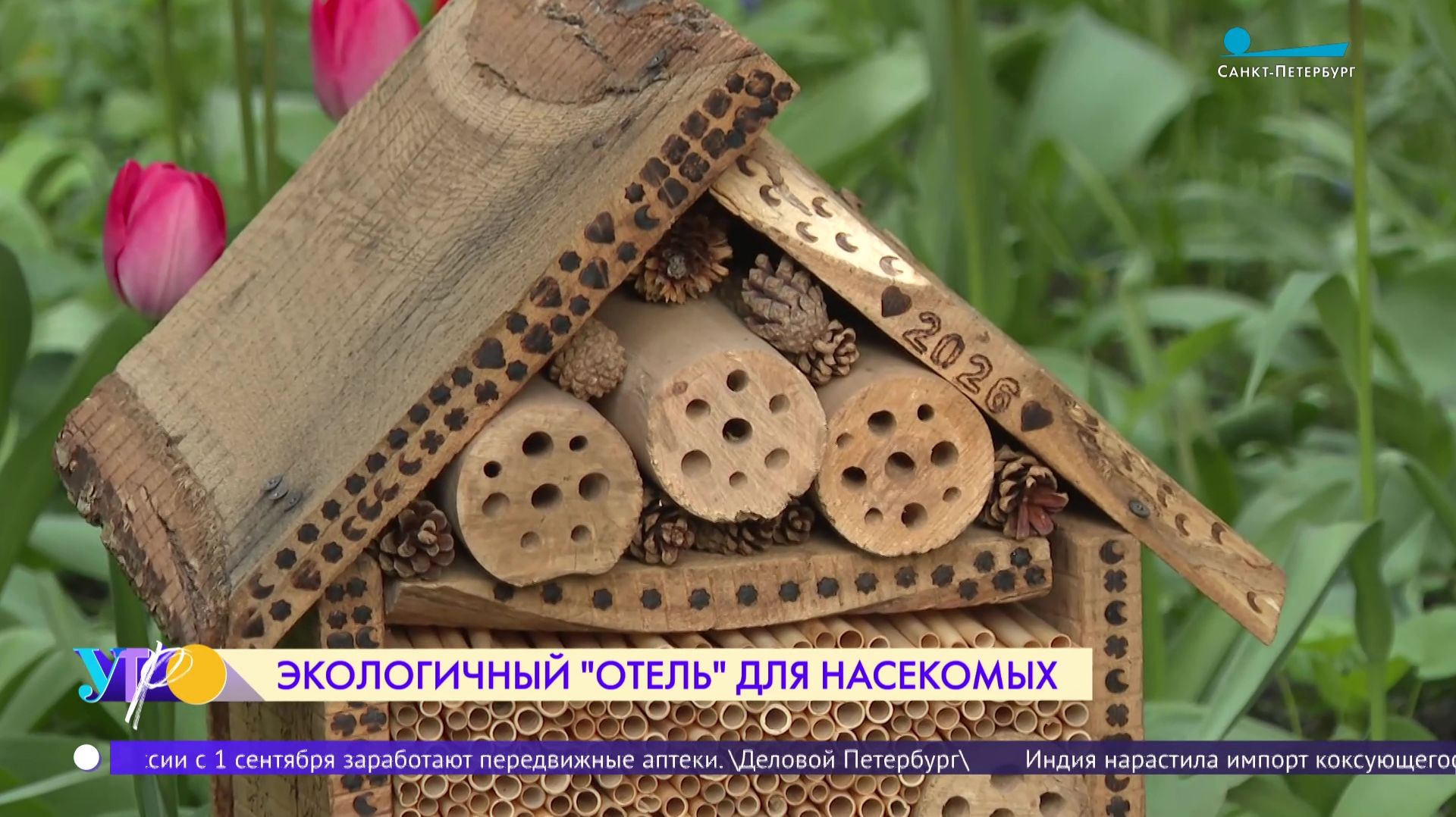 Отель для насекомых на Васильевском острове