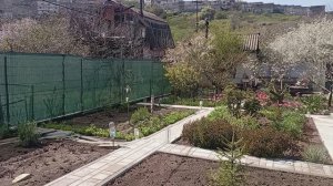 Всё полила. Завтра дождь обещают. 29 апреля.