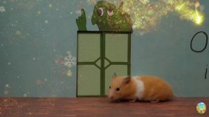 Подборка самых невероятных испытаний для хомяков! 4