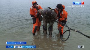 Вести Санкт-Петербург. Выпуск 07.35 от 04.05.2026
