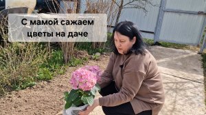 С мамой сажаем цветы на даче🌺🪻🌸