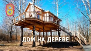 Дом на ДЕРЕВЕ: приезжайте в гости!