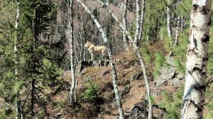 В ПОИСКАХ ПРИКЛЮЧЕНИЙ