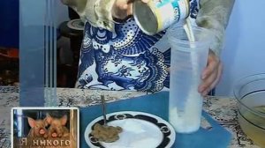 я никого не ем. 18 - Салат Предвкушение весны и вегетарианский майонез
