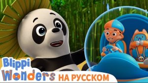 Новая серия | Панда | Изучай этот мир вместе с Блиппи | Обучающие мультики для детей