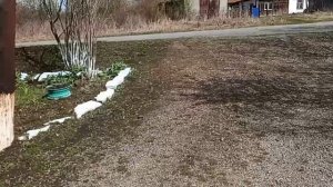 ЗИМА НЕ СТРАШНА🏡  ПИЦЦА ,,ОБЪЕДЕНИЕ''🫓