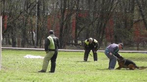 05-02-2026_ЧР по БРР Четвертый участник 4 этап