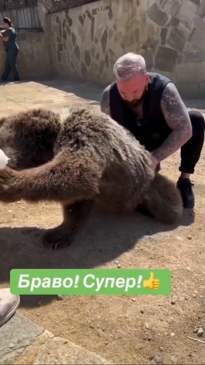 Костоправ