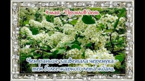 4 мая Народные приметы Проклов день