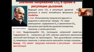 Дыхание. Часть 2. Дьяконова И.Н.