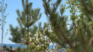 ЖК Просторы Крыма. Ход строительства. Май 2026. Литер 1