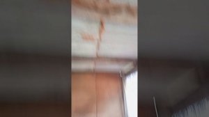 спустя 6месяцев  пришли в эту деревню домик.Это раньше был домик бабушки которая ... в 2010 году