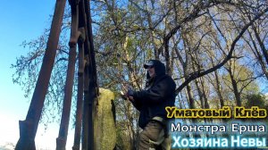 РЫБАЛКА МАЙСКИЕ ЕРШИ КЛЕВ БЫЛ УМАТОВЫЙ В БОЛЬШИНСТВЕ ЕРШИНЫЙ СНИМАЛ ПОМАЛУ А ТО РОЛИК БЫЛ БЫ ДЛИНЫЙ