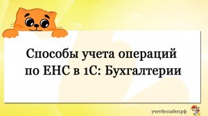 Способы учета операций по ЕНС в 1С: Бухгалтерии
