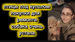 Правдивая Наталья покупки дорогие и полезные Много меня Примерка куртки я во всей красе
