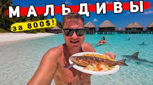 Мальдивы за 800$ - ЭТО реально! КАК отдыхать на Мальдивах по цене Таиланда? ЭТО ВАЖНО знать, ЦЕНЫ