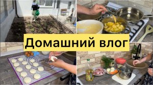 Готовлю вкусно. Посадила помидоры.
